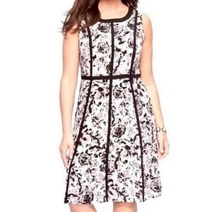 Talbots monochromatic floral fit and flare dress size 8